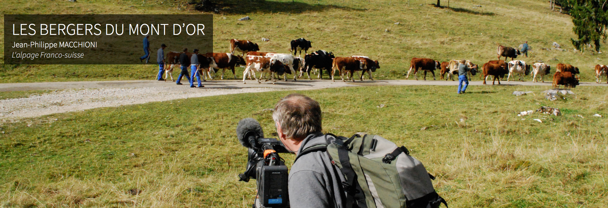 Audiovisual translation for Vie des Hauts Production